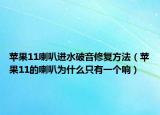 蘋果11喇叭進水破音修復方法（蘋果11的喇叭為什么只有一個響）