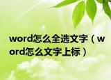 word怎么全選文字（word怎么文字上標(biāo)）