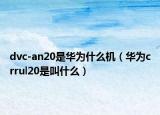 dvc-an20是華為什么機(jī)（華為crrul20是叫什么）