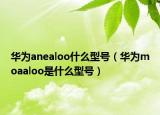 華為anealoo什么型號(hào)（華為moaaloo是什么型號(hào)）