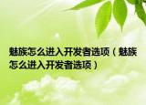 魅族怎么進(jìn)入開發(fā)者選項(xiàng)（魅族怎么進(jìn)入開發(fā)者選項(xiàng)）
