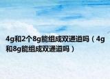 4g和2個8g能組成雙通道嗎（4g和8g能組成雙通道嗎）