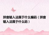 拼音輸入法屬于什么編碼（拼音輸入法屬于什么碼）