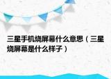 三星手機(jī)燒屏幕什么意思（三星燒屏幕是什么樣子）
