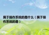 屬于操作系統(tǒng)的是什么（屬于操作系統(tǒng)的是）