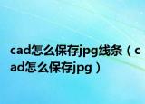 cad怎么保存jpg線(xiàn)條（cad怎么保存jpg）
