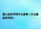輸入動(dòng)態(tài)字符什么意思（什么是動(dòng)態(tài)字符）