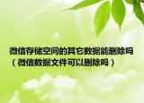 微信存儲(chǔ)空間的其它數(shù)據(jù)能刪除嗎（微信數(shù)據(jù)文件可以刪除嗎）