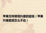 蘋果怎樣使用抖音的壁紙（蘋果抖音壁紙?jiān)趺床粍?dòng)）