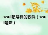 soul是啥樣的軟件（soul是啥）