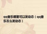 qq音樂哪里可以發(fā)動態(tài)（qq音樂怎么發(fā)動態(tài)）