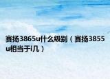 賽揚(yáng)3865u什么級別（賽揚(yáng)3855u相當(dāng)于i幾）