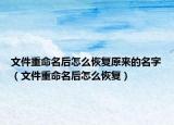 文件重命名后怎么恢復原來的名字（文件重命名后怎么恢復）