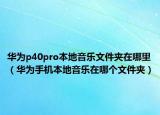 華為p40pro本地音樂文件夾在哪里（華為手機本地音樂在哪個文件夾）