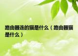路由器連的貓是什么（路由器貓是什么）