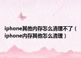 iphone其他內(nèi)存怎么清理不了（iphone內(nèi)存其他怎么清理）