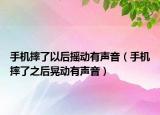 手機摔了以后搖動有聲音（手機摔了之后晃動有聲音）