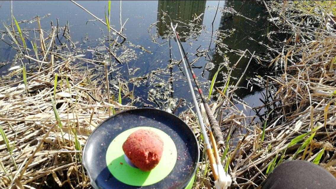 想釣大鯉魚，先掌握這六個作釣技巧你再試試看，釣不好你找我！