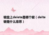 鍵盤上delete是哪個鍵（delte鍵是什么意思）