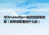 華為mate40pro如何拍超級(jí)微距（超級(jí)微距是拍什么的）
