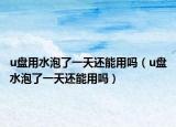 u盤用水泡了一天還能用嗎（u盤水泡了一天還能用嗎）