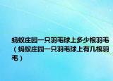 螞蟻莊園一只羽毛球上多少根羽毛（螞蟻莊園一只羽毛球上有幾根羽毛）