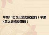 蘋果13怎么設置指紋密碼（蘋果x怎么弄指紋密碼）