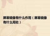 屏幕鏡像有什么作用（屏幕鏡像有什么用處）