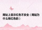 網(wǎng)址上顯示紅色不安全（網(wǎng)站為什么有紅色的）