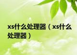 xs什么處理器（xs什么處理器）