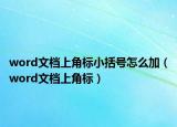 word文檔上角標(biāo)小括號怎么加（word文檔上角標(biāo)）