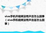 vivo手機(jī)開視頻沒有聲音怎么回事（vivo手機(jī)視頻沒有聲音是怎么回事）