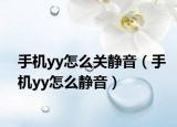 手機yy怎么關靜音（手機yy怎么靜音）