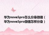 華為nova5pro怎么分身微信（華為nova5pro微信怎樣分身）