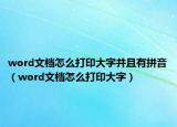 word文檔怎么打印大字并且有拼音（word文檔怎么打印大字）
