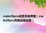mate20pro設(shè)置充電界面（mate20pro充電動(dòng)畫設(shè)置）
