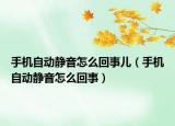 手機(jī)自動(dòng)靜音怎么回事兒（手機(jī)自動(dòng)靜音怎么回事）