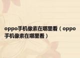 oppo手機(jī)像素在哪里看（oppo手機(jī)像素在哪里看）