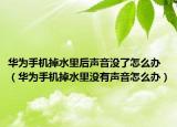 華為手機(jī)掉水里后聲音沒(méi)了怎么辦（華為手機(jī)掉水里沒(méi)有聲音怎么辦）