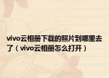 vivo云相冊下載的照片到哪里去了（vivo云相冊怎么打開）
