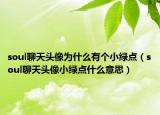 soul聊天頭像為什么有個(gè)小綠點(diǎn)（soul聊天頭像小綠點(diǎn)什么意思）