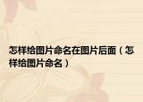 怎樣給圖片命名在圖片后面（怎樣給圖片命名）