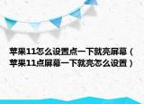 蘋果11怎么設(shè)置點(diǎn)一下就亮屏幕（蘋果11點(diǎn)屏幕一下就亮怎么設(shè)置）