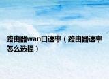 路由器wan口速率（路由器速率怎么選擇）