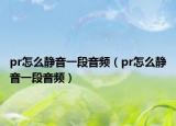 pr怎么靜音一段音頻（pr怎么靜音一段音頻）
