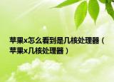 蘋果x怎么看到是幾核處理器（蘋果x幾核處理器）