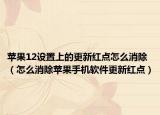 蘋果12設(shè)置上的更新紅點怎么消除（怎么消除蘋果手機(jī)軟件更新紅點）