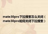 mate30pro下拉搜索怎么關(guān)閉（mate30pro如何關(guān)閉下拉搜索）