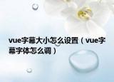 vue字幕大小怎么設置（vue字幕字體怎么調）
