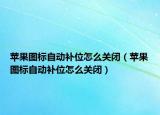 蘋果圖標自動補位怎么關閉（蘋果圖標自動補位怎么關閉）